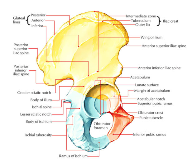 Ilium – Earth's Lab