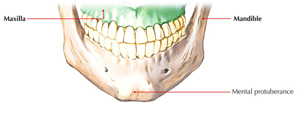 Mental Protuberance Earths Lab 5944