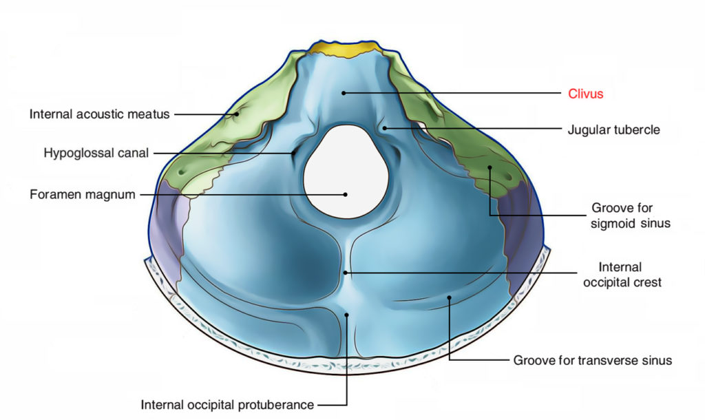 Clivus Earths Lab 6236