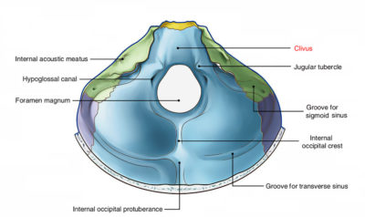 Clivus – Earth's Lab